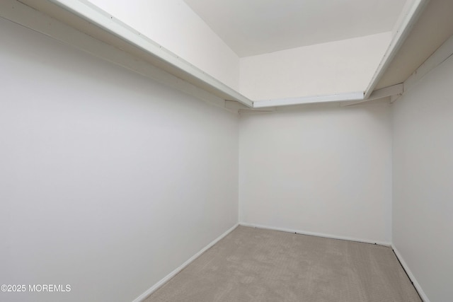 40 Smoke Tree Ter Unit 142, Red Bank, NJ 07701 - spacious closet featuring light colored carpet