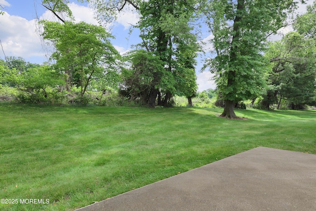 40 Smoke Tree Ter Unit 142, Red Bank, NJ 07701 - view of green lawn