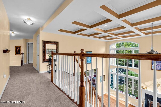 15 Lakeside Dr, Jackson, NJ 08527 - photo 20