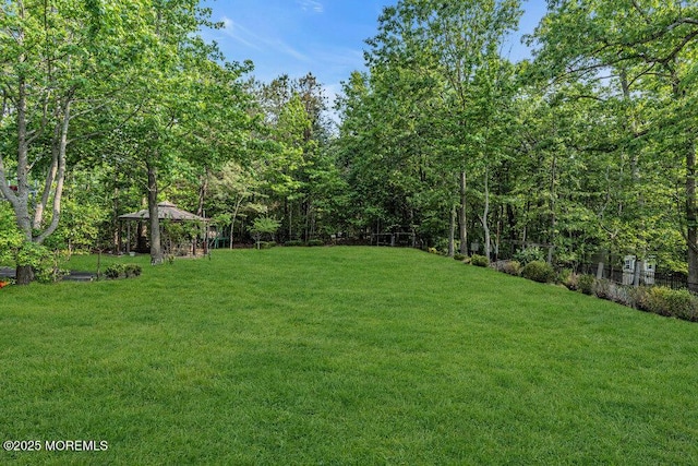 15 Lakeside Dr, Jackson, NJ 08527 - photo 38