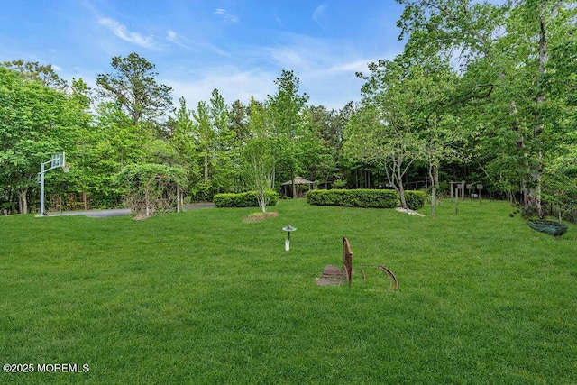 15 Lakeside Dr, Jackson, NJ 08527 - photo 39