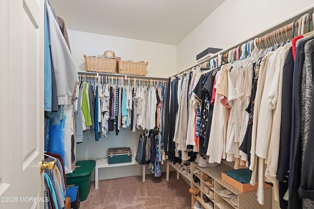 1102 Schencks Mill Line Rd, Toms River, NJ 08753 - walk in closet with carpet