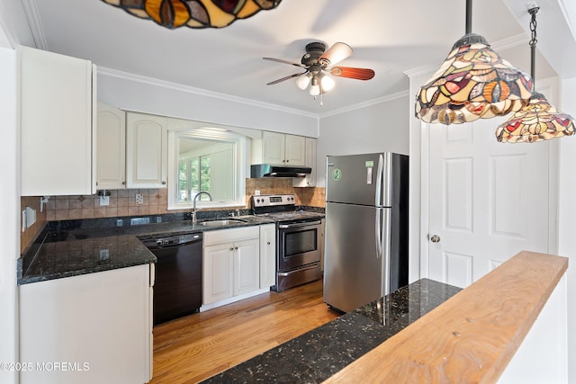2005 Nassau Dr, Spring Lake, NJ 07762 - kitchen with stainless steel appliances, under cabinet range hood, ceiling fan, crown molding, and pendant lighting