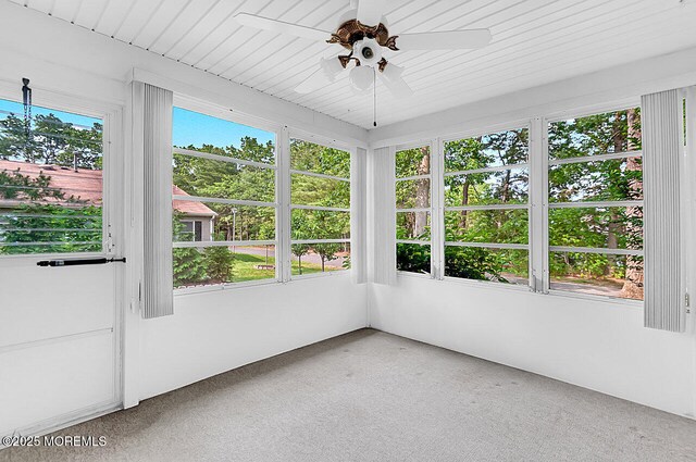 62 Woodshill Dr S, Lakewood, NJ 08701 - unfurnished sunroom with carpet floors
