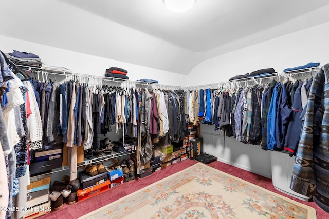 21 Tanglewood Pl, Monroe, NJ 08831 - walk in closet with lofted ceiling and carpet floors