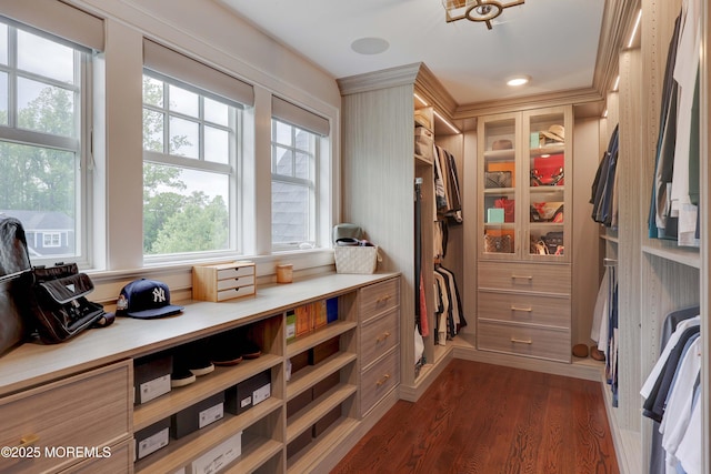 5 Buchop Ln, Red Bank, NJ 07701 - spacious closet featuring dark wood-style flooring