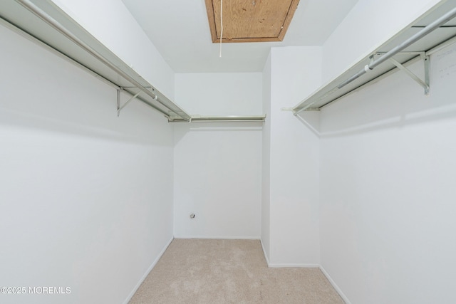117 Northrup Dr, Brick, NJ 08724 - spacious closet with attic access and light carpet
