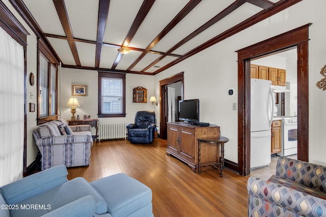 404 Saint Louis Ave, Point Pleasant Beach, NJ 08742 - living room with radiator and wood finished floors