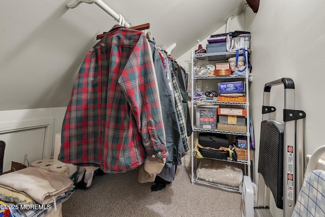 404 Saint Louis Ave, Point Pleasant Beach, NJ 08742 - walk in closet featuring vaulted ceiling and carpet floors