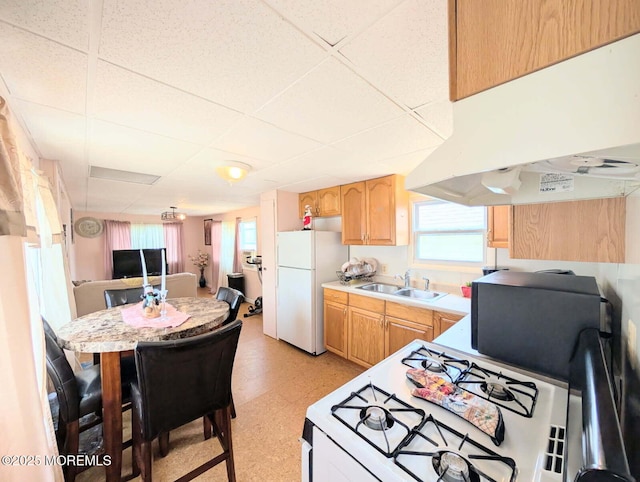 7 Grace Ln, Howell, NJ 07731 - kitchen with under cabinet range hood, white appliances, a sink, a paneled ceiling, and light flooring