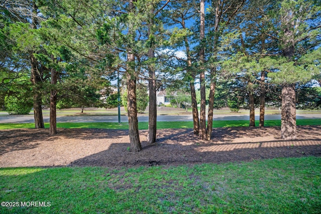19 Corpus Cristi Bay Ct, Little Egg Harbor, NJ 08087 - view of grassy yard