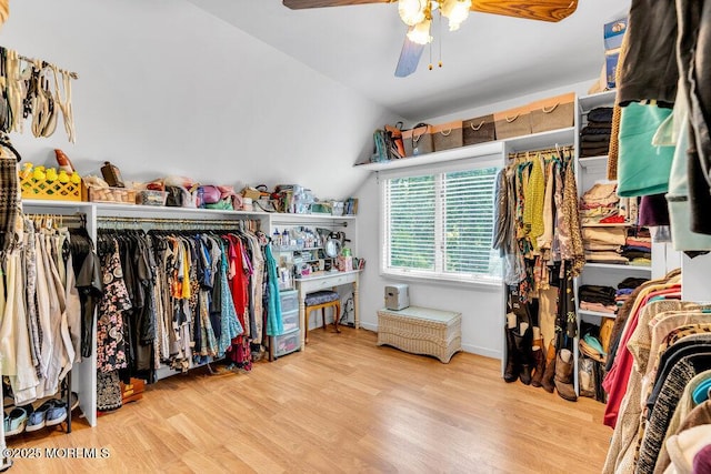145 Docare Rd, Jackson, NJ 08527 - walk in closet with vaulted ceiling, ceiling fan, and wood finished floors