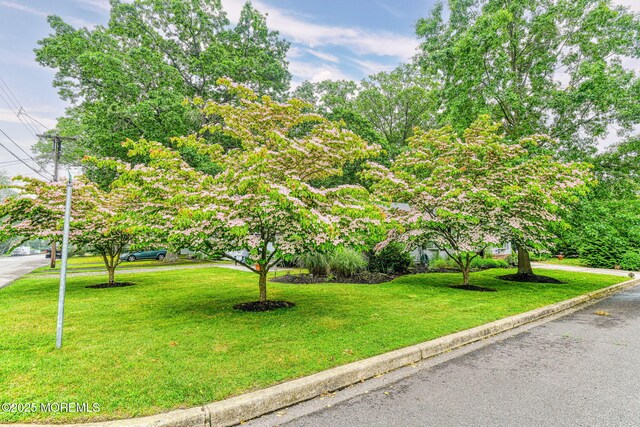 569 Atlantic Ave, Spring Lake Heights, NJ 07762 - photo 27