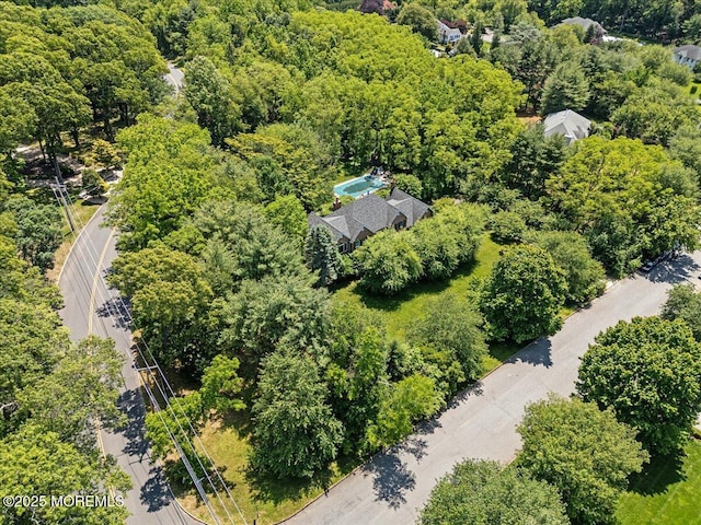 2 Warrenton Ln, Colts Neck, NJ 07722 - aerial view of a forest