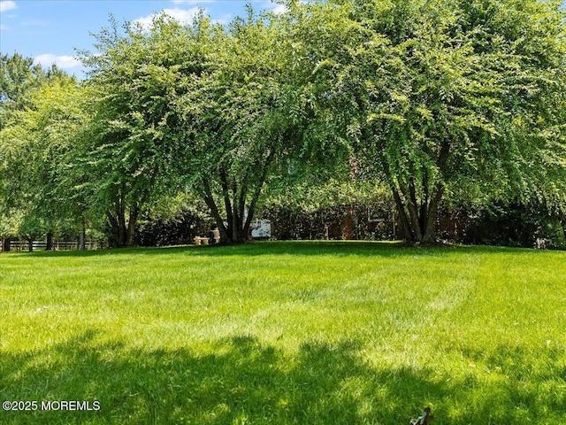 2 Warrenton Ln, Colts Neck, NJ 07722 - view of yard