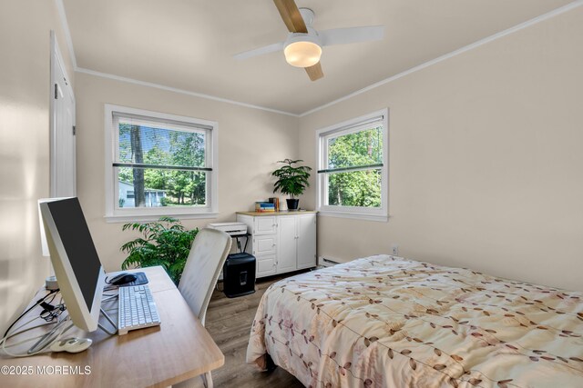 29 Bowie Dr, Whiting, NJ 08759 - bedroom featuring wood finished floors, ornamental molding, and ceiling fan