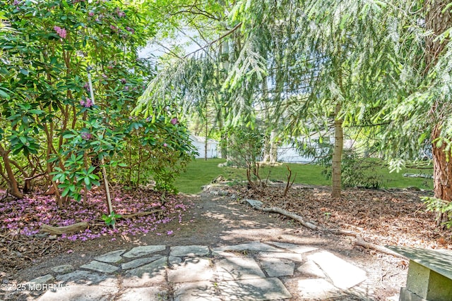29 Bowie Dr, Whiting, NJ 08759 - view of green lawn