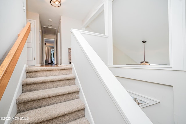 179 Arizona Ave, Toms River, NJ 08753 - photo 19