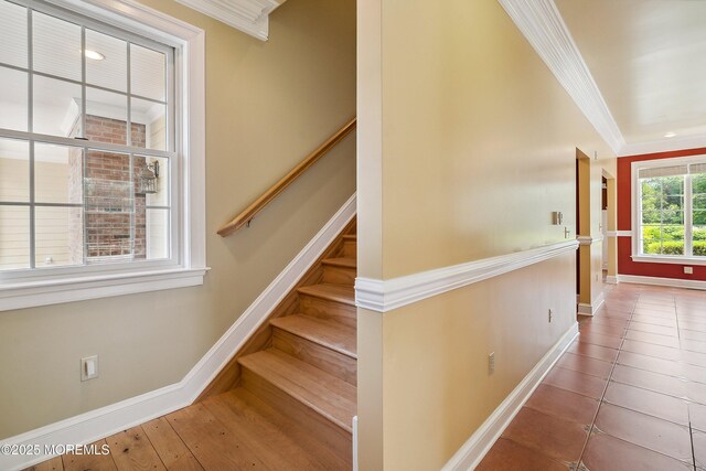 159 Sprague Ave, West Creek, NJ 08092 - photo 61