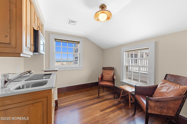 425 E Ave, Bay Head, NJ 08742 - sitting room featuring dark wood-style floors and vaulted ceiling