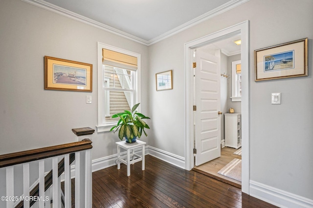 321 Mckinley Pl, Avon-By-The-Sea, NJ 07717 - hallway featuring hardwood / wood-style flooring, crown molding, and baseboards