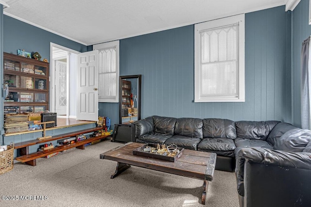 116 Curtis Ave, Manasquan, NJ 08736 - living area with carpet and ornamental molding