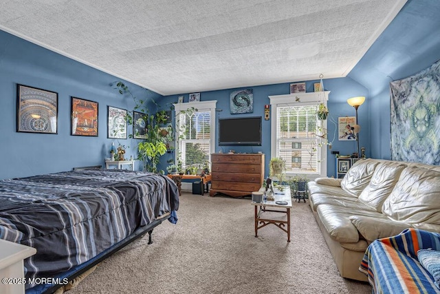 116 Curtis Ave, Manasquan, NJ 08736 - carpeted bedroom with a textured ceiling and vaulted ceiling