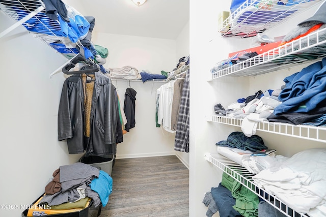 11 Starry Ln, Barnegat, NJ 08005 - spacious closet with wood finished floors