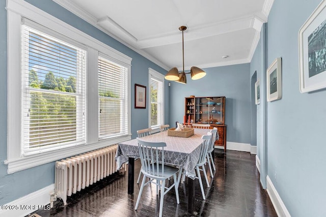 708 7th Ave, Asbury Park, NJ 07712 - dining space with radiator heating unit, baseboards, plenty of natural light, ornamental molding, and dark wood finished floors