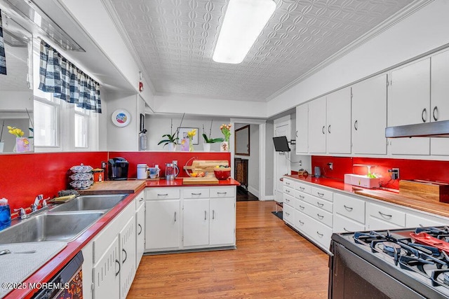 708 7th Ave, Asbury Park, NJ 07712 - kitchen featuring an ornate ceiling, light wood-type flooring, a sink, white cabinets, and under cabinet range hood
