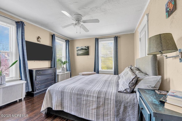 708 7th Ave, Asbury Park, NJ 07712 - bedroom with wood finished floors, multiple windows, radiator, a ceiling fan, and a textured ceiling