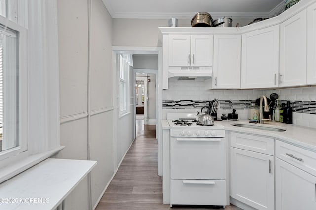 31 Riverside Ave, Red Bank, NJ 07701 - kitchen with gas range gas stove, a sink, under cabinet range hood, ornamental molding, and decorative backsplash