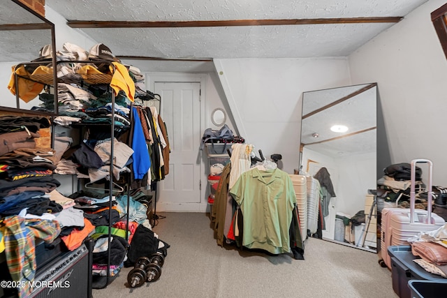 31 Riverside Ave, Red Bank, NJ 07701 - view of storage area
