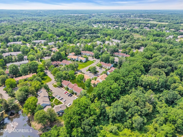 6 Claridge Ct # 5, Freehold, NJ 07728 - aerial view of a forest and a nearby body of water