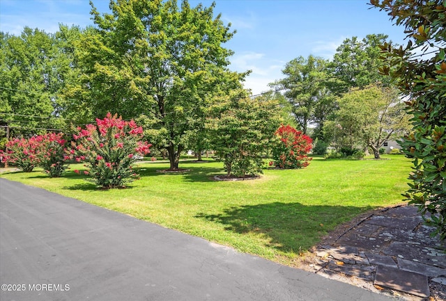 740 Windsor Perrineville Rd, East Windsor, NJ 08520 - photo 3
