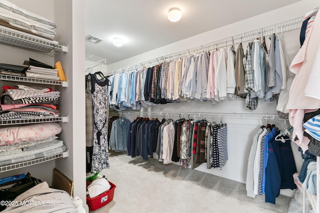 27 Witherspoon Way, Marlboro, NJ 07746 - walk in closet with carpet