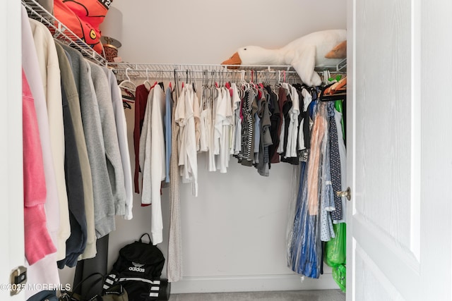27 Witherspoon Way, Marlboro, NJ 07746 - view of walk in closet