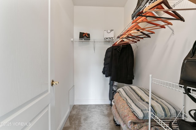 27 Witherspoon Way, Marlboro, NJ 07746 - spacious closet with carpet flooring