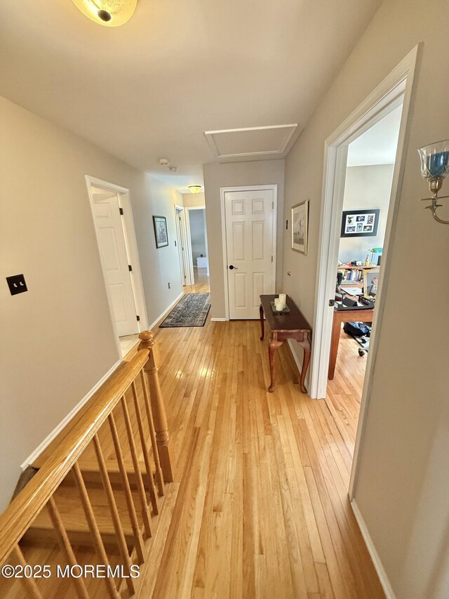 44 Diamond Ln, Howell, NJ 07731 - corridor with light wood finished floors and baseboards
