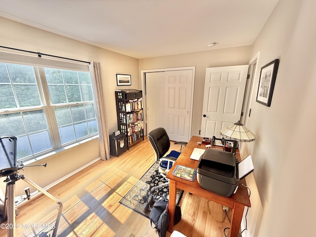 44 Diamond Ln, Howell, NJ 07731 - office area with light wood-style flooring and baseboards