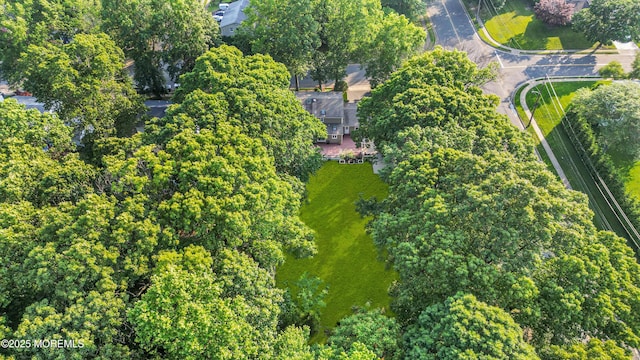 1 Algonquin Dr, Marlboro, NJ 07746 - aerial view