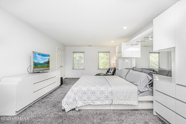 5 Leighton Dr, East Brunswick, NJ 08816 - carpeted bedroom featuring multiple windows and recessed lighting