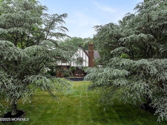 245 Borden Rd, Middletown, NJ 07748 - view of green lawn