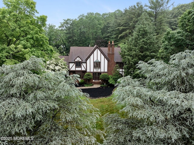 245 Borden Rd, Middletown, NJ 07748 - view of property exterior featuring a chimney and a forest view