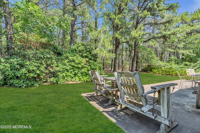 14 Portsmouth Dr, Toms River, NJ 08757 - photo 41