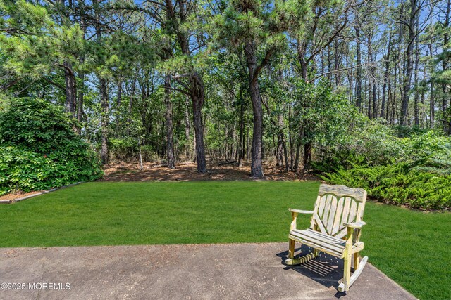 14 Portsmouth Dr, Toms River, NJ 08757 - photo 42