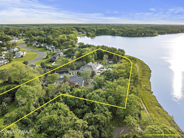 1413 Gully Rd, Wall, NJ 07719 - aerial view of property's location featuring a large body of water, a heavily wooded area, and property boundaries highlighted