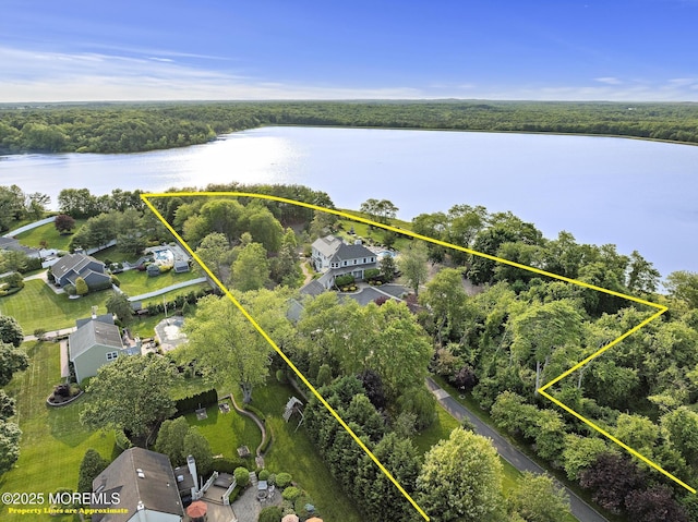 1413 Gully Rd, Wall, NJ 07719 - aerial overview of property's location with a large body of water, property boundaries highlighted, and a heavily wooded area