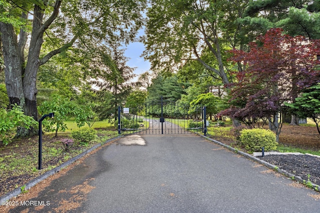 1413 Gully Rd, Wall, NJ 07719 - view of gate