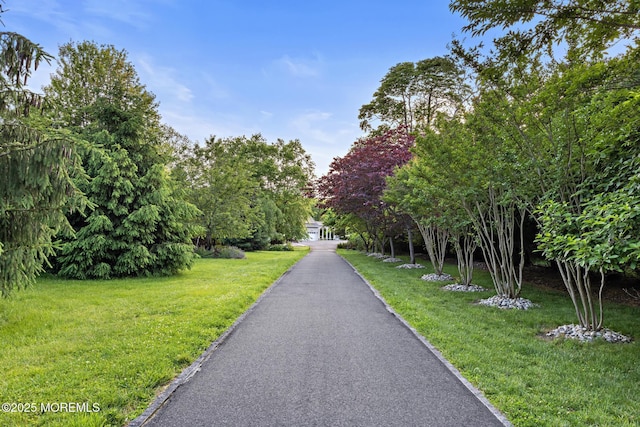 1413 Gully Rd, Wall, NJ 07719 - surrounding community with a lawn
